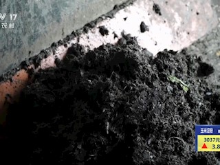 剩菜剩叶变肥料环保又增收