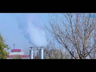 科学辟谣：服用维生素C可以预防流...