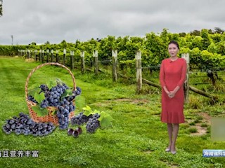 葡萄上的白霜是什么？