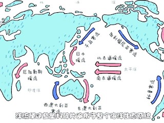 对“海中雾霾”宣战！你都不知道它破坏力有多大