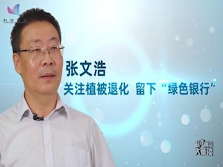 关注植被退化 留下“绿色银行”