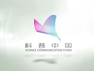 夏季天天洗头好吗？