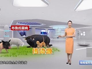 布鲁氏病菌