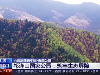 沿着高速看中国·青藏公路祁连山国家公园：筑牢生态屏障