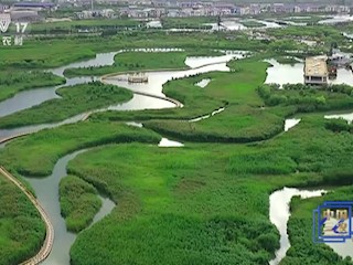 甘肃张掖：“一园四带”造林绿化筑牢西部生态屏障