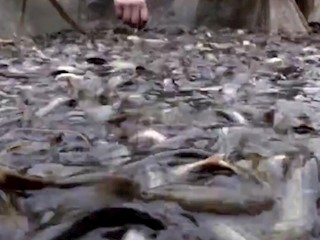  滑溜的财富抓起来（1）