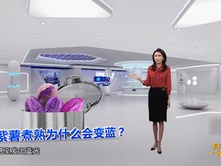 紫薯煮熟为什么会变蓝？