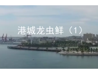  港城龙虫鲜（1）