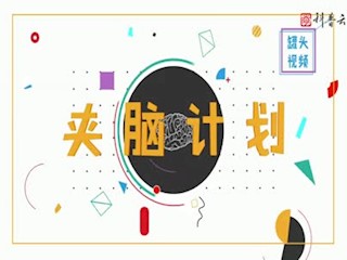 三招绿植叶子不发黄