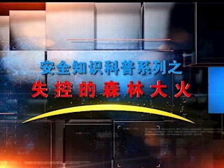 森林火灾